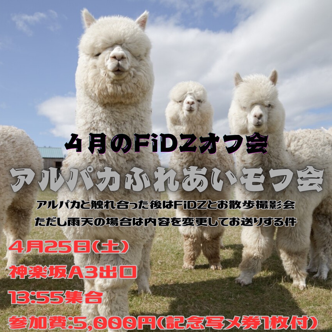 4月のFiDZオフ会「アルパカふれあいモフ会」 | 神楽坂駅コインロッカー(東京都)