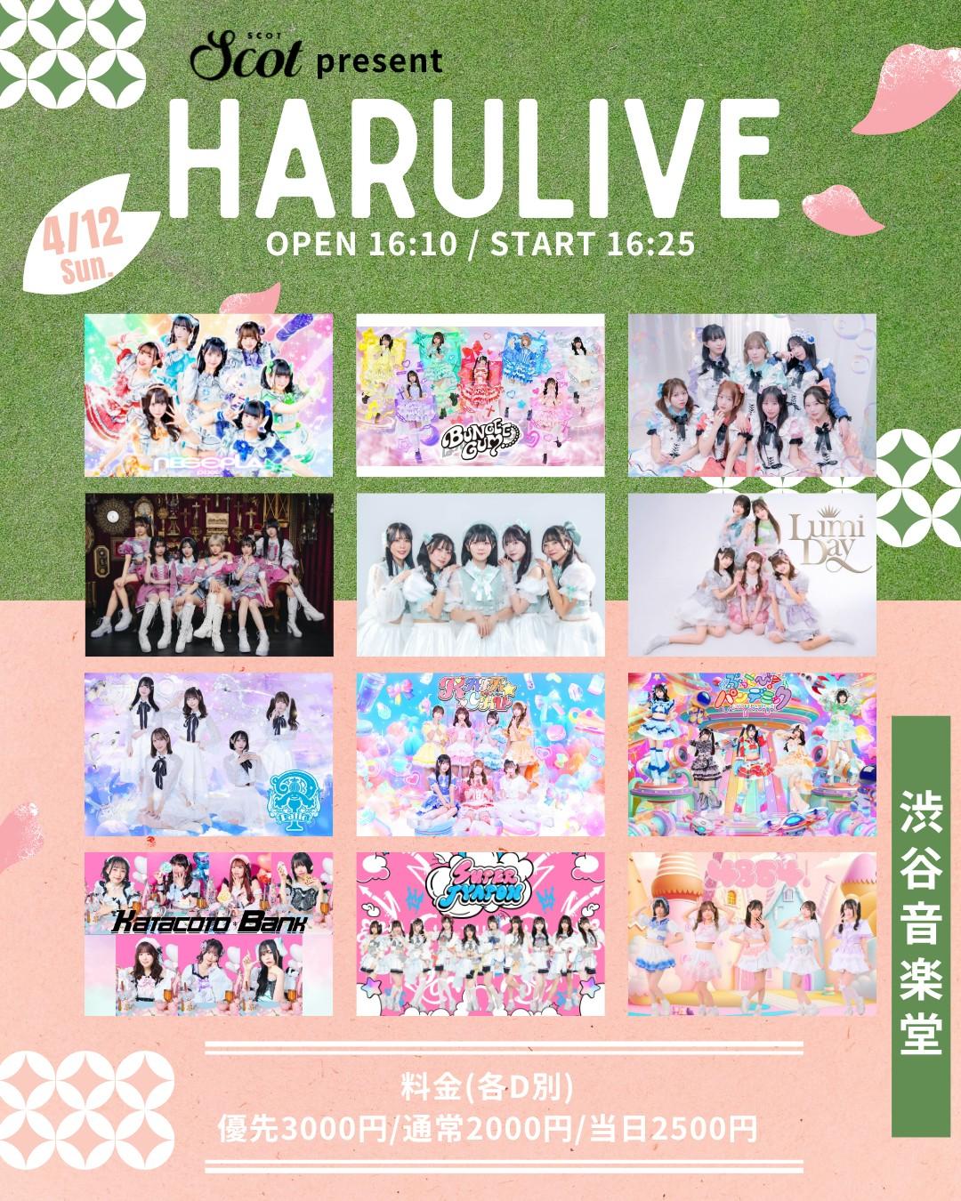 HARULIVE | 渋谷音楽堂