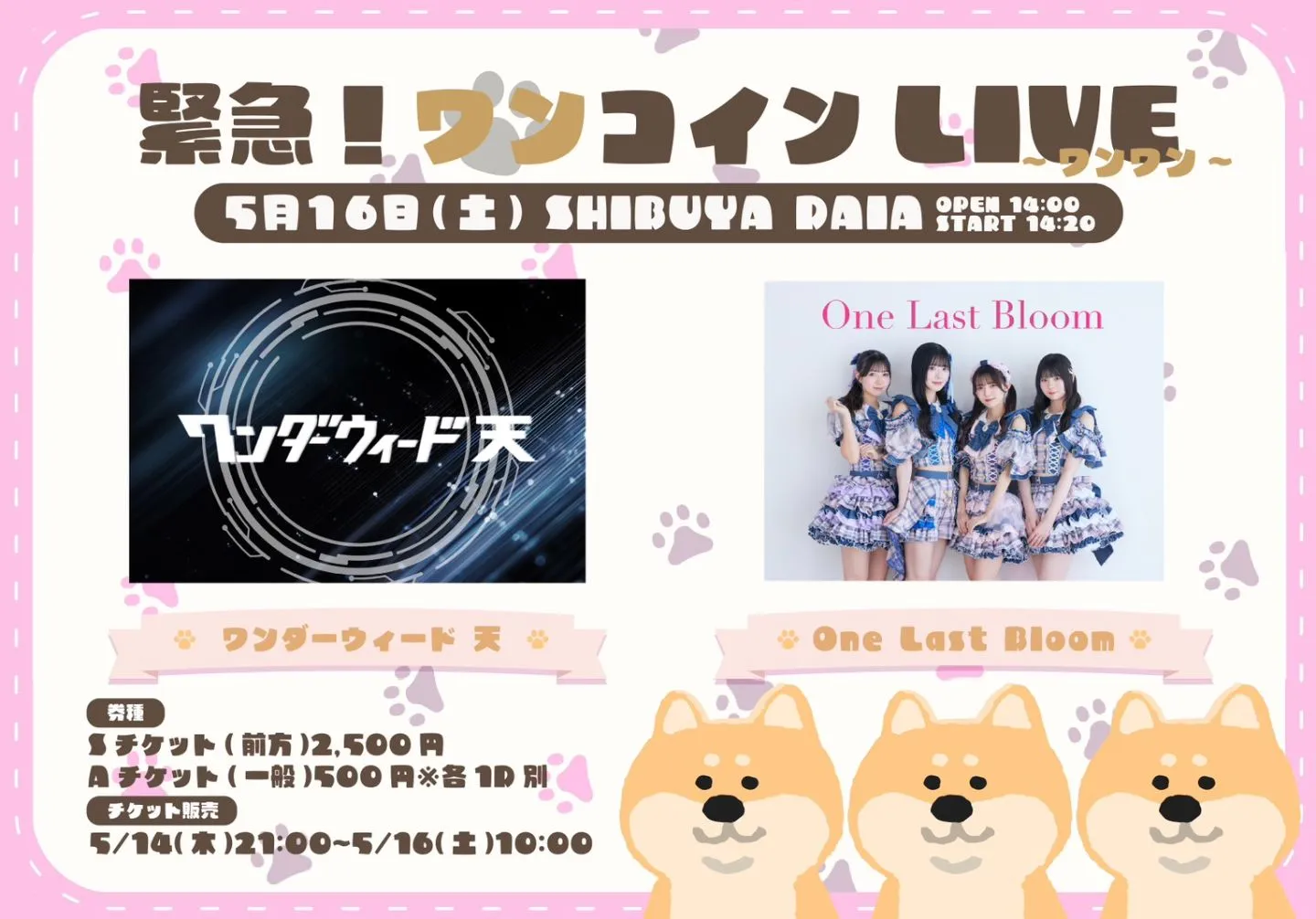 緊急ワンコインライブ-ワンワン-（5/16） | SHIBUYA DAIA