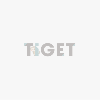 no-image2-39