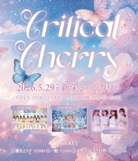 Critical Cherry | 新栄シャングリラ